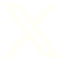 x_icon
